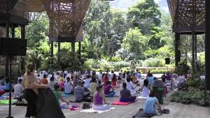 See 251 reviews, articles, and 195 photos of jardin botanico culiacan, ranked no.1 on tripadvisor among 9 attractions in culiacan. Yoga En Jardin Botanico De Medellin Colombia Youtube
