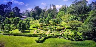 4.2 struktur organisasi tbnsa adalah seperti. Taman Botani Shah Alam Bukit Cerakah Wah Nyamannya Tempat Menarik Di Selangor 2020