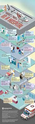 Who S Who In Hospital Medical Jobs Infographic Described In Detail Below Medical Jobs Hospital Jobs Health Science Education