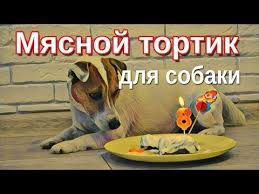 pin na doske zhivotnye