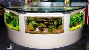 New desain ruang tamu aquarium pada renovasi ruang tamu terbaik. 19 Aquarium Penyekat Ruang Tamu