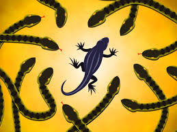 It is based on the 2010 australian film of the same name by david michôd, who is executive producer for the series, alongside liz watts who also produced the movie. The Most Extreme Animal Newborns