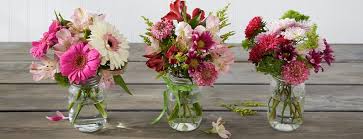 Why do honeybees die after they sting you? Diy Wildflower Arrangements King Soopers