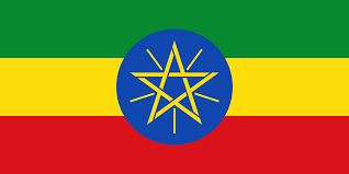 Please read all information thoroughly before sending in your application, incomplete or missing documentation can result in passport application fee, pay service fees in cash at the ethiopian embassy or by australia post money order, or international bank cheque (australia. Ethiopia Prepaid Data Sim Card Wiki Fandom