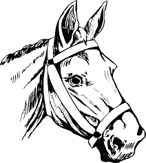 Horse Head Svg Novocom Top