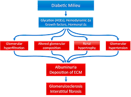 Bladder tumors, strictures, prostatic hypertrophy, or. Update On Diabetic Nephropathy Core Curriculum 2018 American Journal Of Kidney Diseases