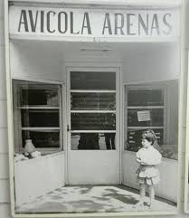 Avicola Arenas Barrio Hostafrancs Sants Barcelona Fotos De Barcelona Barcelona Barcelona Ciudad
