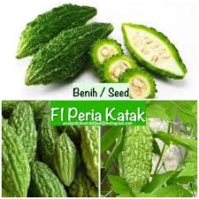Bagaimana kapsul peria katak boleh bantu. Benih Seeds F1 Peria Katak F1 Alamsari Mini Garden Facebook
