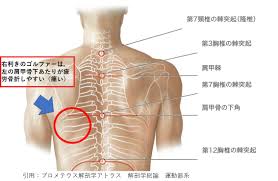 はしぐち整骨院