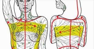 16 Danger Signs That Your Lymphatic System Is Sluggish And How To Do A 3 Day Lymph Detox Lymphatic Detox Lymph Detox Lymphatic System