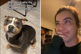 Hearts Break As Dog Fed by 'Family' Once Every 2 Weeks, Then It All Changes 