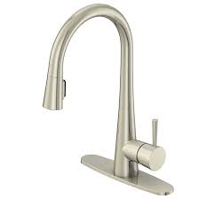 Understandably so, since all custom papers produced by our academic writers are individually crafted from scratch and written according to all your instructions and requirements. Allen Roth Project Source Pull Out Kitchen Faucet Single Lever Brushed Nickel Fp4af261np Rona
