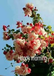 Good morning images added a new photo. - Good morning images