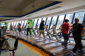 Une activité vitale pour les français les salles de sport : Combien Vaut Une Salle De Sport