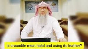 Is shark meat halal islamqa : Is Crocodile Alligator Meat Halal Using It S Leather Assim Al Hakeem Youtube