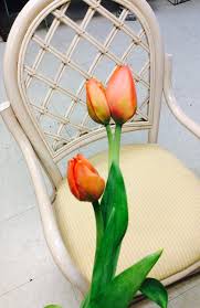 Expert recommended top 3 florists in ann arbor, michigan. Chelsea Flower Shop Llc Home Facebook