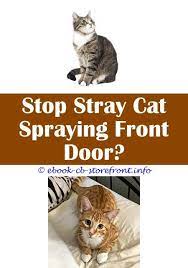 12 Breathtaking Cat Spray Remover Dr Oz Cats Male Cat Spraying Cat Spray