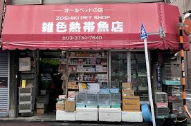 雑色 熱帯魚 店