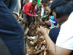 Namun begitu, berbeza dengan ulat mulong, kejumah (temilok) boleh dimakan, jelasnya. Ulat Sagu Menjijikan Tapi Kaya Protein