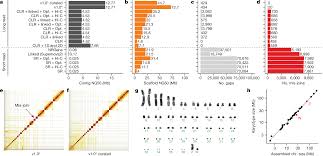Towards Complete And Error Free Genome Assemblies Of All Vertebrate Species Nature