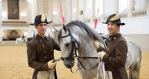 The horses we rode were brilliant, i rode tino, he was a really lovely horse and a delight to ride, jason rode tango,. Spanish Riding School