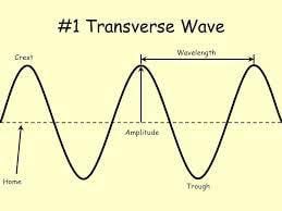 In contrast to transverse waves, longitudinal waves fluctuate in the direction of propagation. Characteristics Of Longitudinal And Transverse Waves Class 11 Physics Topic 4 Oscillations And Waves Dominik R And The Essential Characteristic Of A Longitudinal Wave That Distinguishes It From Other