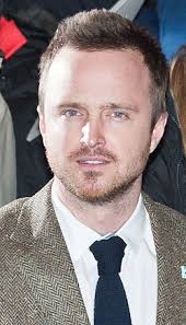 Aaron Paul filmography
