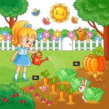 Girl Is Watering Garden Bed With Vegetables Vector Illustration With Farming Crops In Cartoon Style Art Drawings For Kids Picture Composition Drawing For Kids