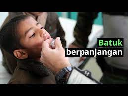 Batuk itu sendiri sebetulnya adalah mekanisme alami tubuh untuk mengeluarkan substansi yang dianggap asing bagi jalan pernafasan. Kahak Phlegm Tersekat Di Tekak Cara Mengilangkan Kahak Dari Tekak