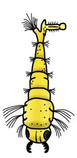 Kartun nyamuk kartun nyamuk nyamuk. Larva Aedes Aegypti Earthworm Disease Free Pictures Free Image From Needpix Com