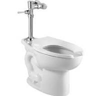 Madera 15-Inch EverClean® Toilet System With Manual Piston ...