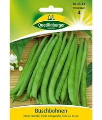 Wenn schon kerne drin sind bekommen sie eine harte unterschale so wie ich muss das hier nochmal hochholen, da ich auch gerne wissen würde, wann sie reif sind.allerdings nicht zum essen, sondern nur für den. Bohnen Samen Online Kaufen Bestellen Bei Baldur Garten