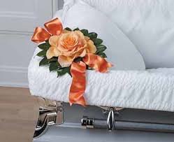 We offer flower and gift delivery to the residents of colorado. Sf95 11 In Colorado Springs Co Jasmine Flowers