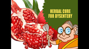 Dysentery Treatment Natural Ayurvedic Home Remedies Butter Milk Pomegranate