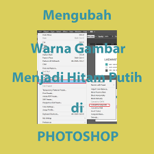 We did not find results for: Merubah Objek Menjadi Hitam Putih B W Di Illustrator Ladangtekno