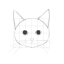 Cómo dibujar un gato kawaii es fácil con este paso a paso. Como Dibujar Un Gato 1 Cara Basica Medibang Paint