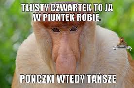 W sadurski.com pączki na tłusty czwartek. Tlusty Czwartek W Piatek Memy Paczki Sa Wtedy Tansze Sprawdzcie Dziennik Zachodni
