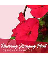 Find the perfect building to live in by filtering to your preferences. Providence Florist Providence Ri Flower Shop Frey Florist Greenhouses