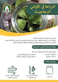 الزراعة في الأواني الزجاجية Plants In Bottles House Plants Decor Beautiful Terrariums
