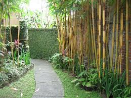 Diy outdoor screens and backyard privacy ideas • the garden glove. Use Bamboo Along Side Garden Effective And Serves As Privacy Screen Too Balinese Garden Side Yard Landscaping Bali Garden