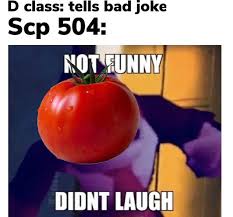 Something you say when someone tells you a really corny or terrible joke. Didn T Laugh Scp