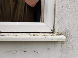 We would like to show you a description here but the site won't allow us. Drainage Holes In Upvc Window Not Draining Diynot Forums