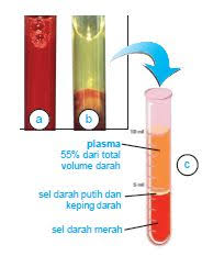 Contoh evaporasi nah dapatkah kamu. Pengertian Filtrasi Penyaringan Sentrifugasi Evaporasi Distilasi
