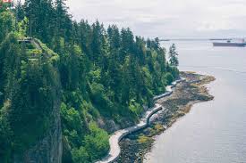 This 2020 season we have much less firewood than past seasons. 12 Free Camping Spots Around The World You Should Experience Soon