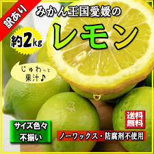 Yahoo!ショッピング - Yahoo! JAPAN