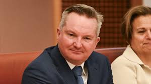 Willoughby By-election: Everything you need to know