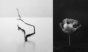 Yes! You Can Sell Fine Art Photography Online | Shootproof Blog