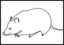 How To Draw Opossums Drawing Tutorials Drawing How To Draw Opossum Drawing Lessons Step By Step Techniques For Cartoons Illustrations For this video tutorial, i choose a possum (or opossum, if you prefer that spelling). to draw opossum drawing lessons step