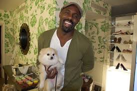 Butters The Fashion Dog Butters Meets The Wire S Stringer Bell Doggie Style Idris Elba Elba