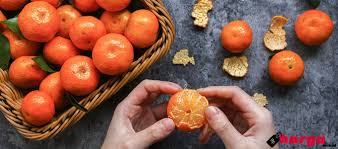 Buah oren · pokok limau · warna oren · jeruk · jingga · oren. Update Harga Jeruk 1 Kg Di Pasaran Daftar Harga Tarif